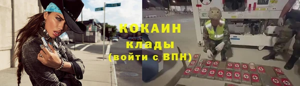 бошки Сосновка