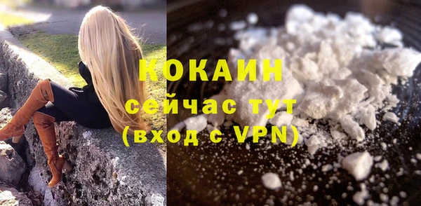 бошки Сосновка