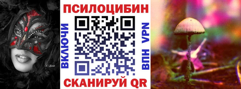 Псилоцибиновые грибы GOLDEN TEACHER  где продают   Берёзовский 